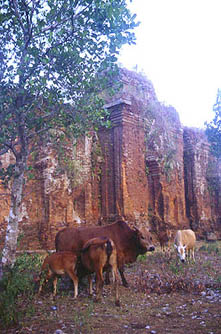 CowsBuilding.jpg (32298 bytes)