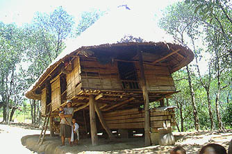 RaisedHut.jpg (36144 bytes)